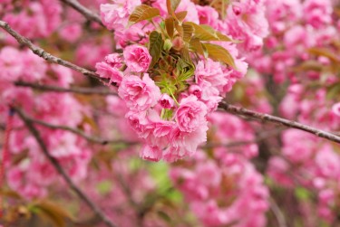 绍兴线下个人借款平台一站式服务，轻松解决资金难题