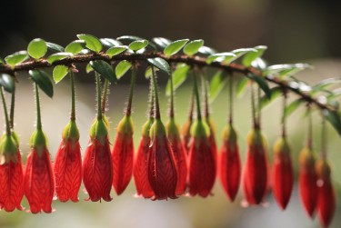 绍兴零用贷短借：轻松解决临时资金需求