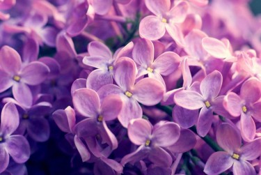 绍兴企业急用钱贷款攻略：快速融资解燃眉之急